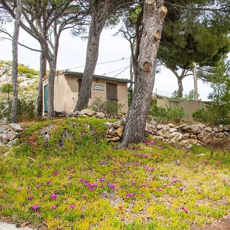 Maison La Pinede Authentique & Familiale Vue Holiday home *